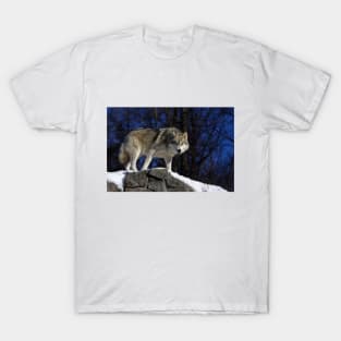 Arctic Wolf on Rock Cliff T-Shirt